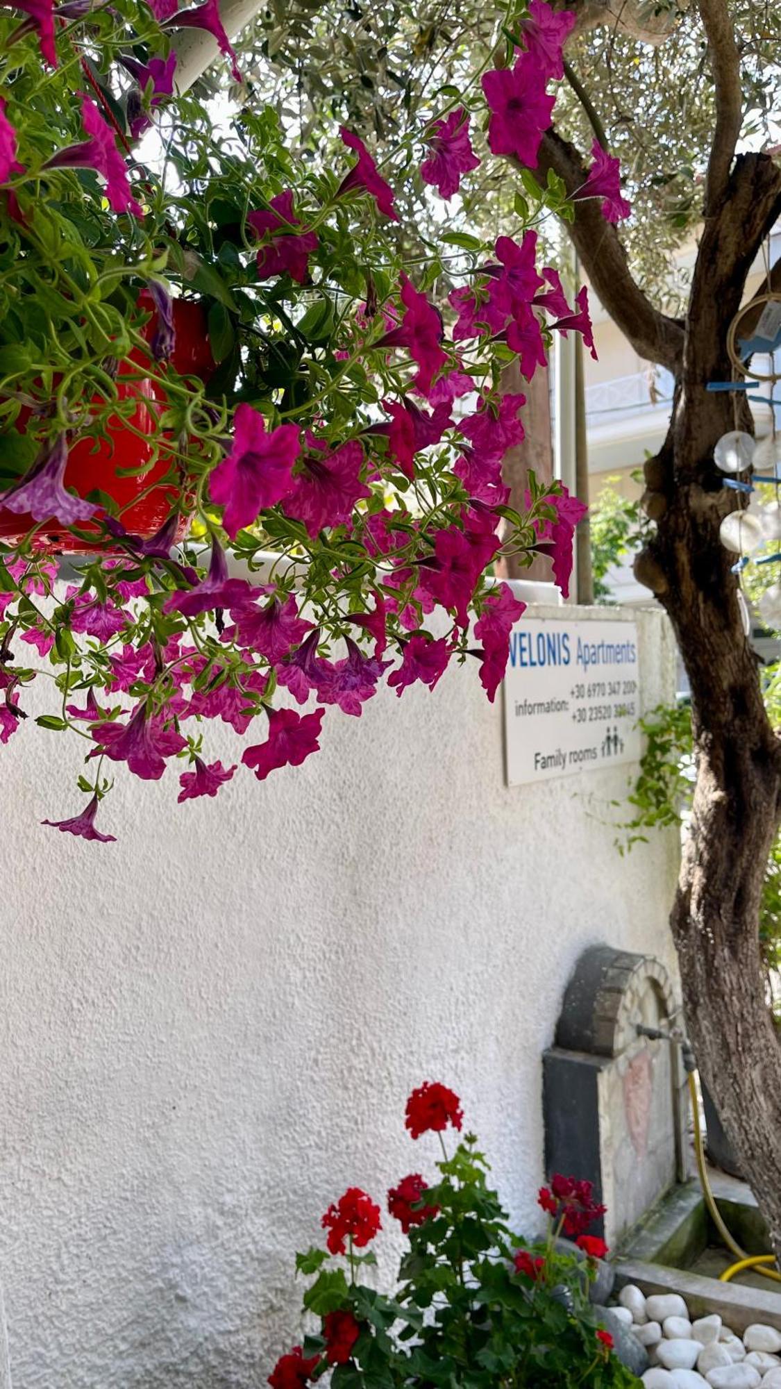 לפטוקריה Velonis Apartments מראה חיצוני תמונה